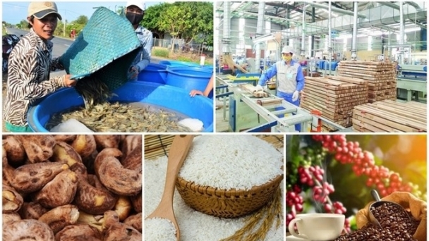 Deputy Minister Phung Duc Tien: Agricultural exports can exceed USD 60 billion