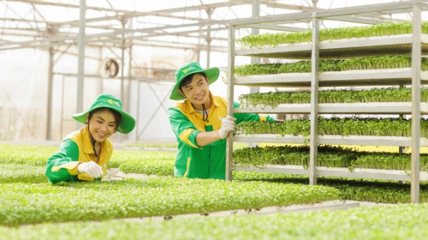 Clean agriculture: A sustainable development trend for Vietnamese agriculture