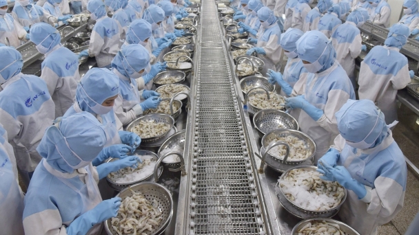 Identifying barriers to green transition in frozen shrimp processing