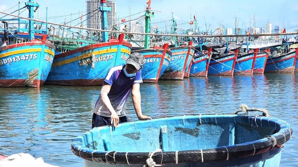 Đảm bảo an toàn cho ngư dân mùa mưa bão: [Bài 2] Nỗi lo các khu neo đậu tàu thuyền