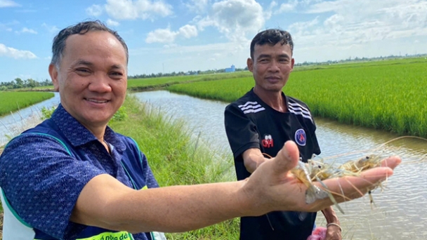 Community agricultural extension supports farmers in organic and low-emission farming