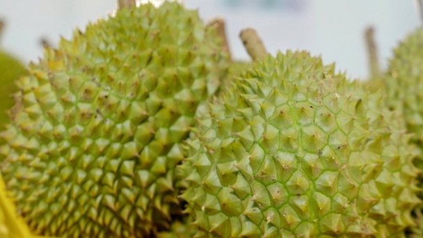 Vietnamese durian accounts for nearly half of the durian imported into China