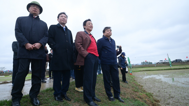 FAO Director-General visits rice field in Ninh Binh, observes mechanized rice model