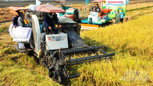 Can Tho achieves VND 30 million/ha profit thanks to low-emissions winter-spring rice