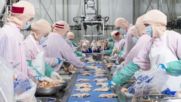 Solutions to comply EU's food safety regulations