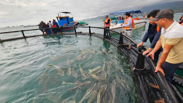 Khanh Hoa launches implementation of high-tech marine farming project