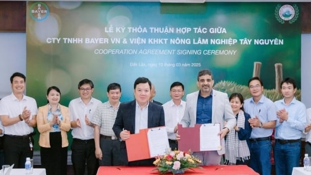 Cooperation to promote sustainable farming in the Central Highlands