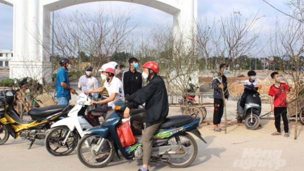 Ngày đầu nghỉ Tết, nhộn nhịp chợ quất, chợ đào Thái Hòa