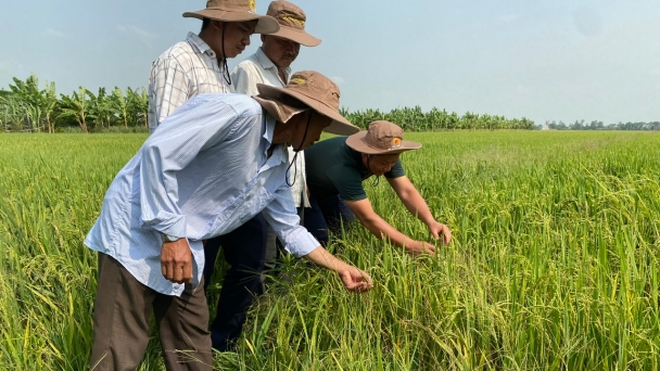 Vietnamese agricultural products pushed by multi-value and multi-sectoral thinking