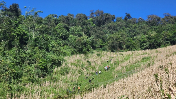 Reaching the goal of planting 30.000 trees for the Northwest forest