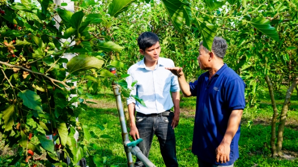 Organic-certified mulberries attract tourists