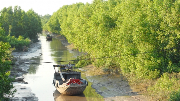 Global Blue Carbon Potential - Lessons for Vietnam: [II] The potential of coastal carbon sequestration by country