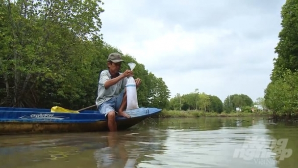 Promoting sustainable aquaculture in mangrove forests