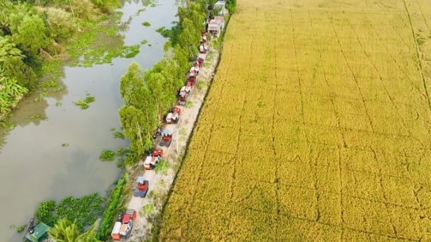 Protecting rice farming land for future generations