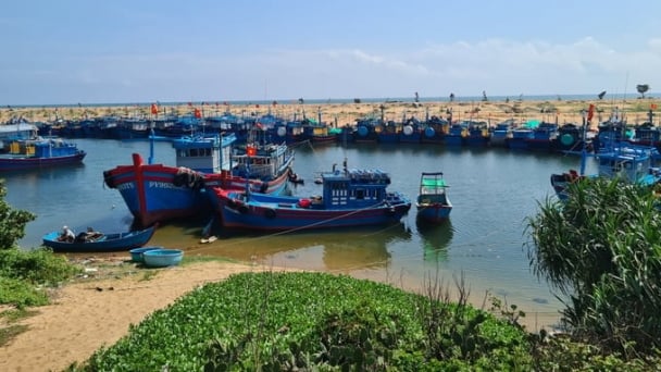 Vietnam to establish a comprehensive and modern fishing port system by 2050