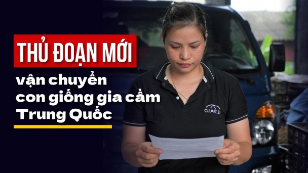 [Video phần 4]: Chủ buôn nhận lỗi, cam kết đoạn tuyệt giống gia cầm Trung Quốc