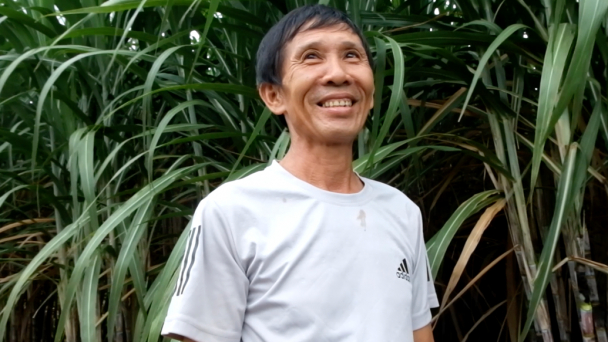 Người trồng mía ‘sống chung’ cùng hội nhập