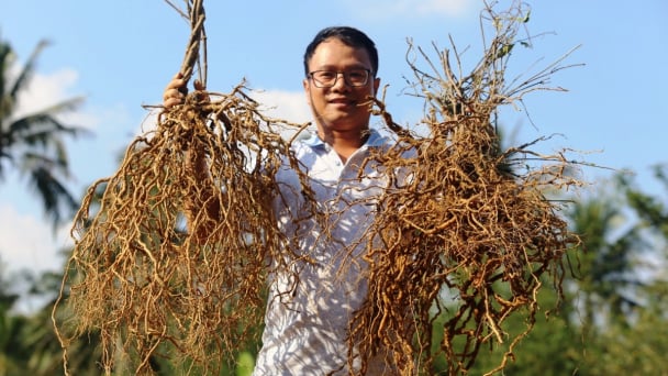 Xây dựng các mô hình sản xuất nông nghiệp để nâng cao kinh tế