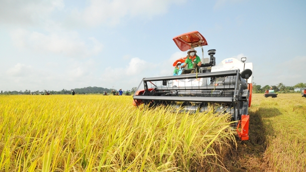 Tập đoàn Tân Long ký kết tiêu thụ lúa cho Hợp tác xã