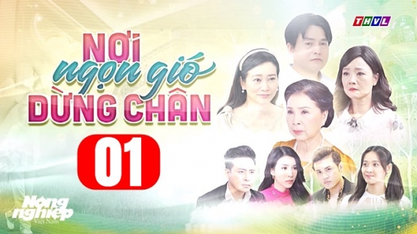 Nơi ngọn gió dừng chân tập 1 trực tiếp THVL1 hôm nay 11/6