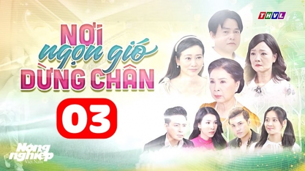 Nơi ngọn gió dừng chân tập 3 trực tiếp THVL1 hôm nay 14/6