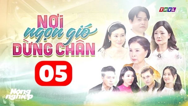 Nơi ngọn gió dừng chân tập 5 trực tiếp THVL1 hôm nay 16/6