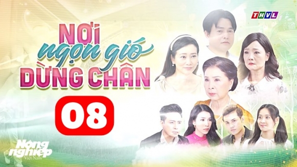 Nơi ngọn gió dừng chân tập 8 trực tiếp THVL1 hôm nay 20/6