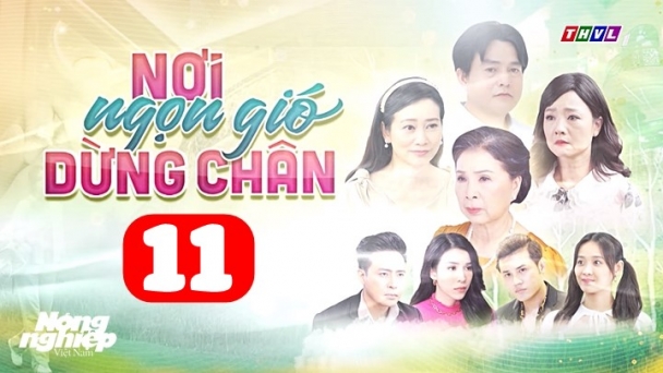 Nơi ngọn gió dừng chân tập 11 trực tiếp THVL1 hôm nay 23/6