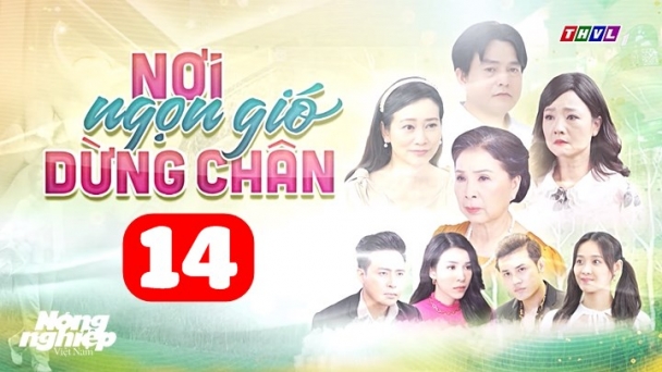 Nơi ngọn gió dừng chân tập 14 trực tiếp THVL1 hôm nay 27/6