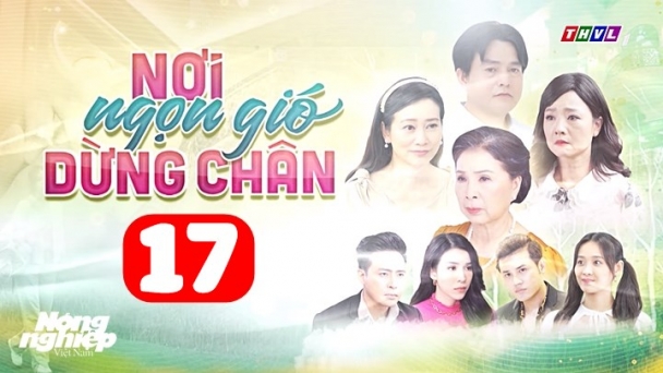 Nơi ngọn gió dừng chân tập 17 trực tiếp THVL1 hôm nay 30/6