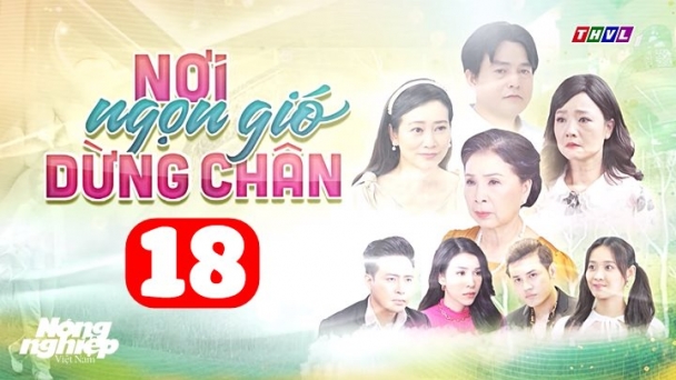 Nơi ngọn gió dừng chân tập 18 trực tiếp THVL1 hôm nay 1/7