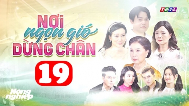 Nơi ngọn gió dừng chân tập 19 trực tiếp THVL1 hôm nay 2/7