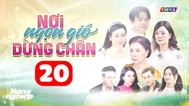 Nơi ngọn gió dừng chân tập 20 trực tiếp THVL1 hôm nay 4/7