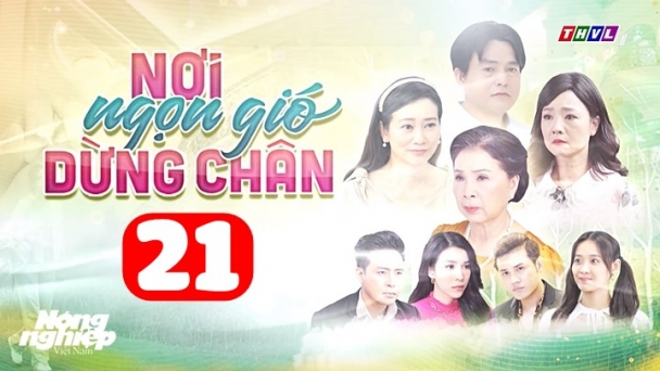 Nơi ngọn gió dừng chân tập 21 trực tiếp THVL1 hôm nay 5/7