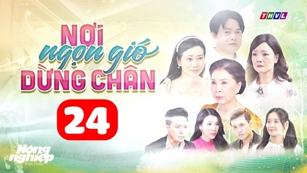 Nơi ngọn gió dừng chân tập 24 trực tiếp THVL1 hôm nay 8/7