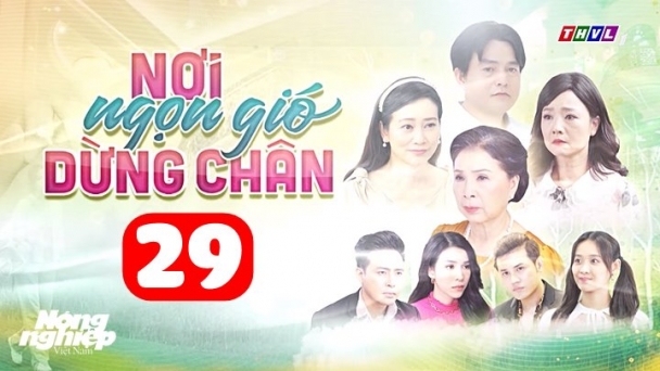 Nơi ngọn gió dừng chân tập 29 trực tiếp THVL1 hôm nay 14/7