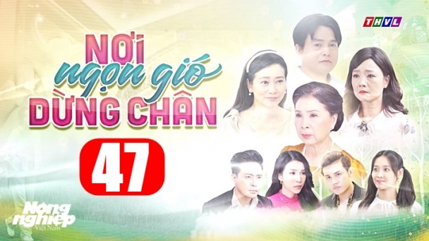 Nơi ngọn gió dừng chân tập 47 trực tiếp THVL1 hôm nay 4/8