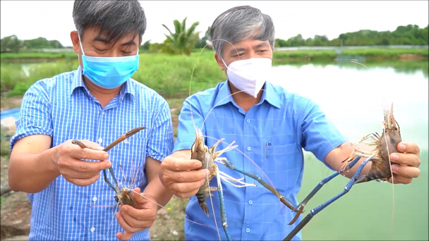 Chuyển đổi đất lúa kém hiệu quả sang nuôi thủy sản nước ngọt
