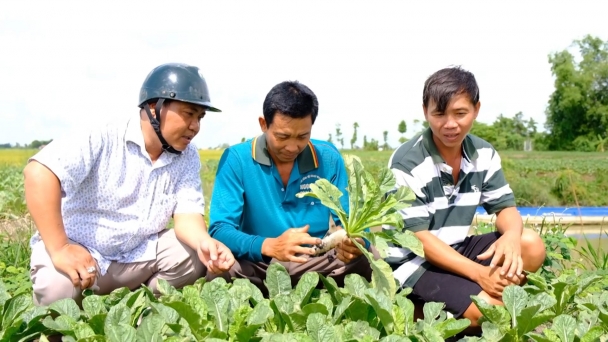 Phát huy tiềm năng nông nghiệp xanh