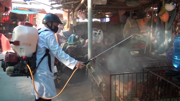 Phòng chống dịch bệnh 'tấm lá chắn' bảo vệ đàn gia cầm trước các chủng cúm