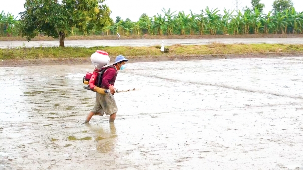 Thoát cảnh 'nơi cần nước không có, chỗ có nước không cần'