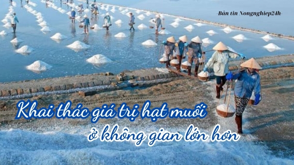 Khai thác giá trị hạt muối ở không gian lớn hơn