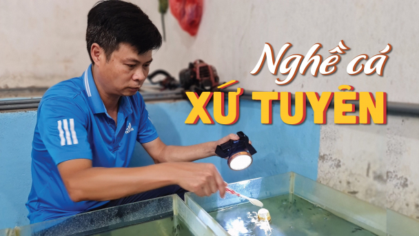 [Bài 2]: Không trọn giấc vì canh... cá đẻ