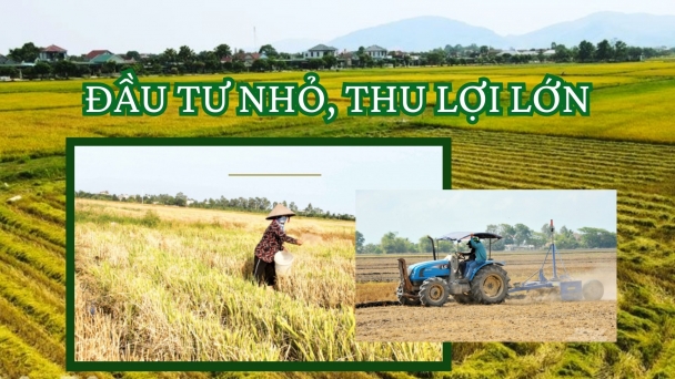 Đầu tư nhỏ, thu lợi lớn