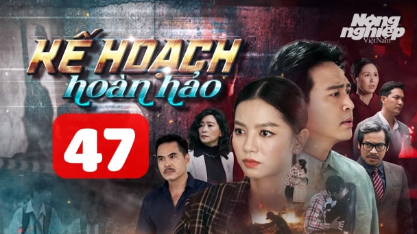 Kế hoạch hoàn hảo tập 47 trực tiếp THVL1 hôm nay 13/11