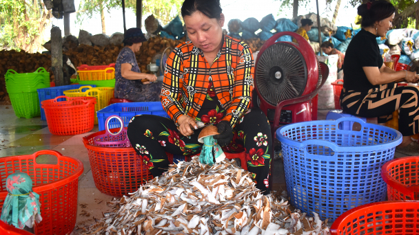 Bến Tre phấn đấu tỷ lệ hộ nghèo còn dưới 2,5% năm 2025