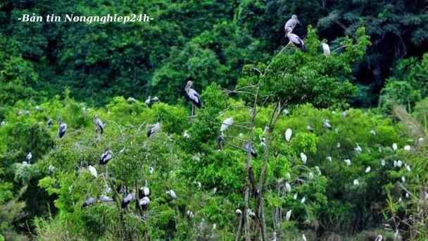 Việt Nam – Pháp chú trọng hợp tác bảo vệ đa dạng sinh học