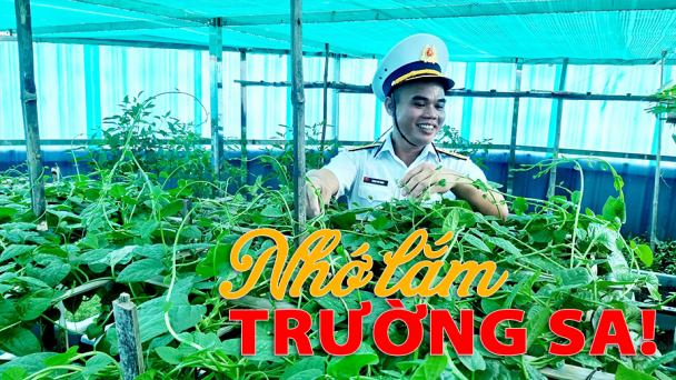 Những 'cánh đồng quê' trên quần đảo Trường Sa