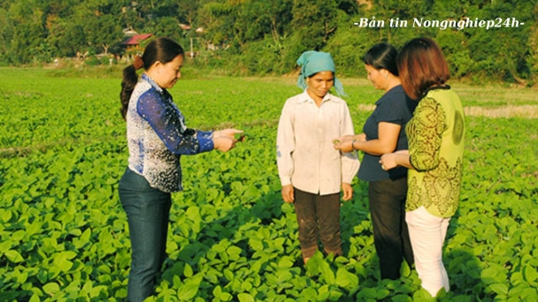 Xây dựng đội ngũ khuyến nông chuyên nghiệp, đa giá trị