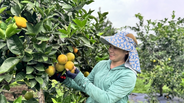 Nông dân hào hứng làm nông nghiệp tuần hoàn